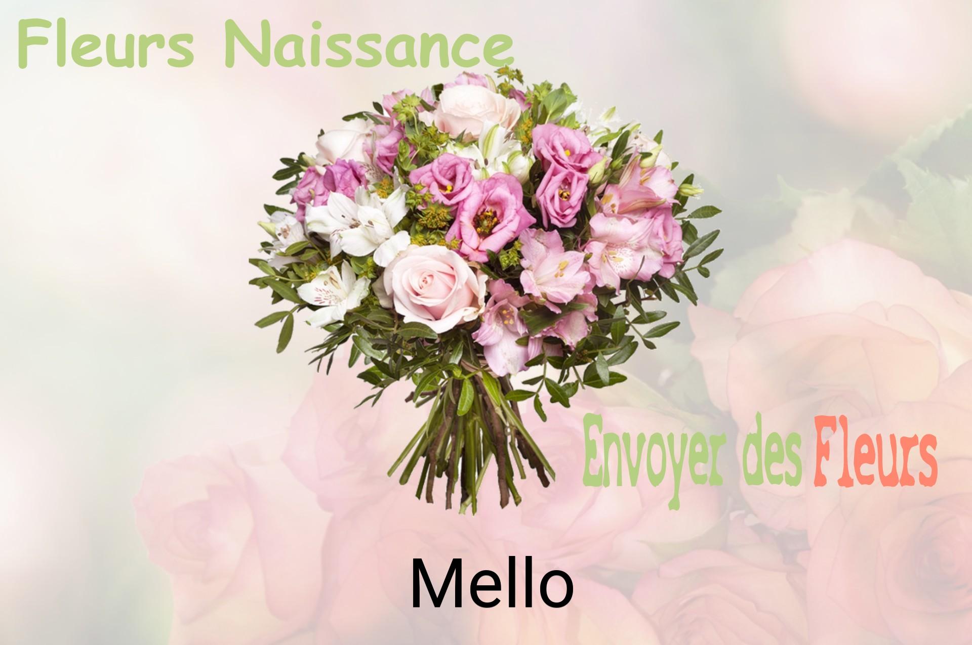 Bouquet de fleurs de naissance livré à Mello